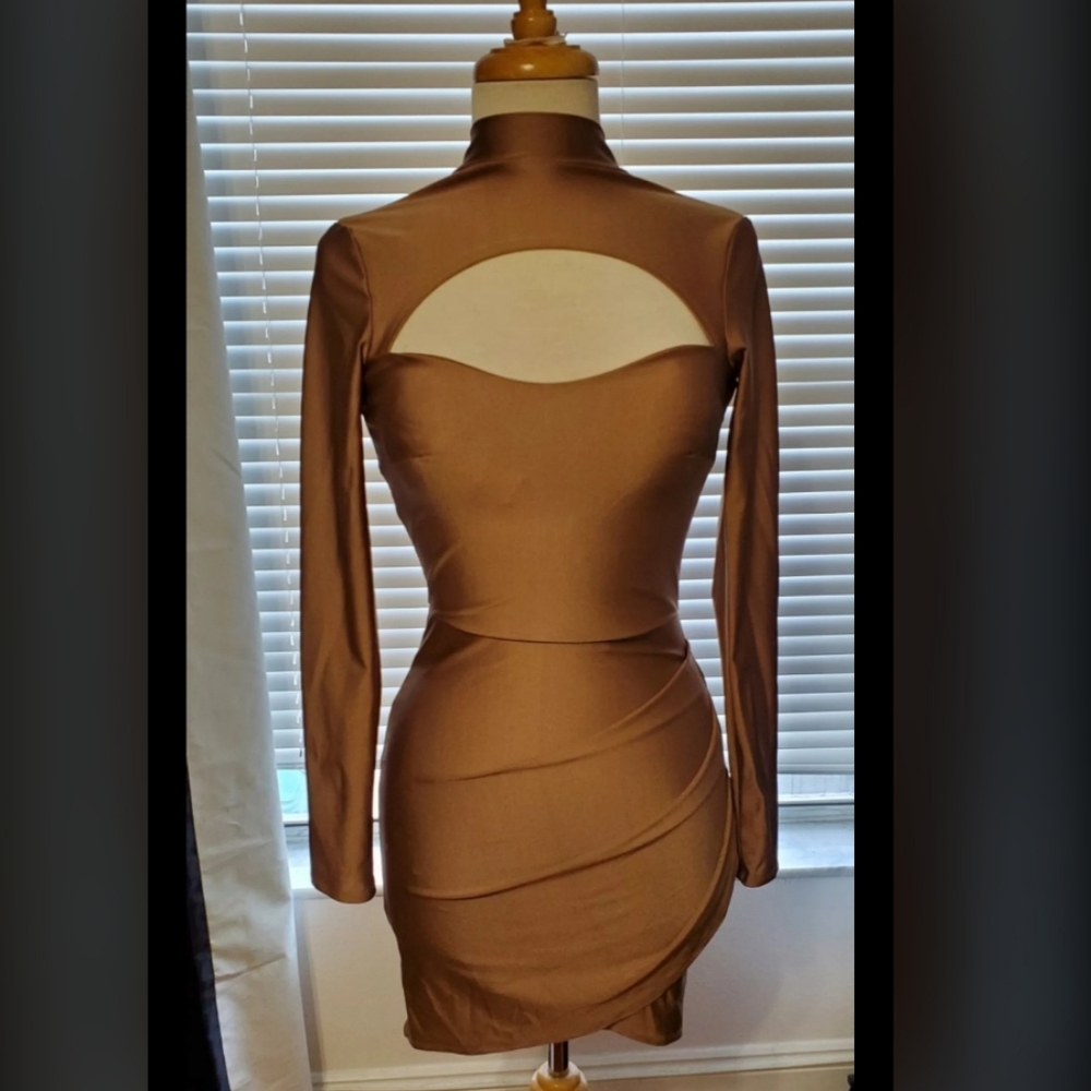 Fashion Nova Dress